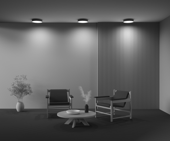 Потолочный светильник Zon черный 300 мм 7