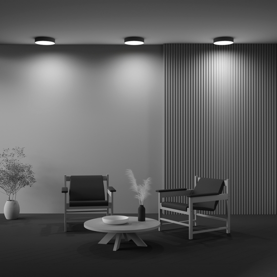 Потолочный светильник Zon черный 300 мм 5