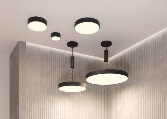 Потолочный светильник Zon черный 300 мм 14