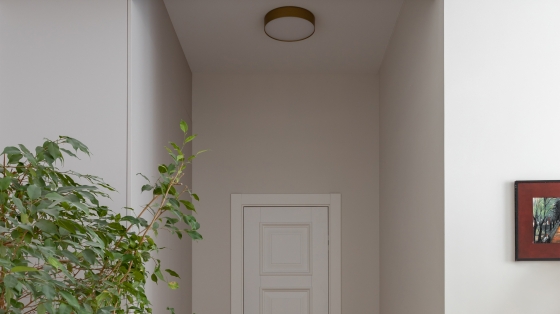 Потолочный светильник Zon матовое золото 300 мм 9