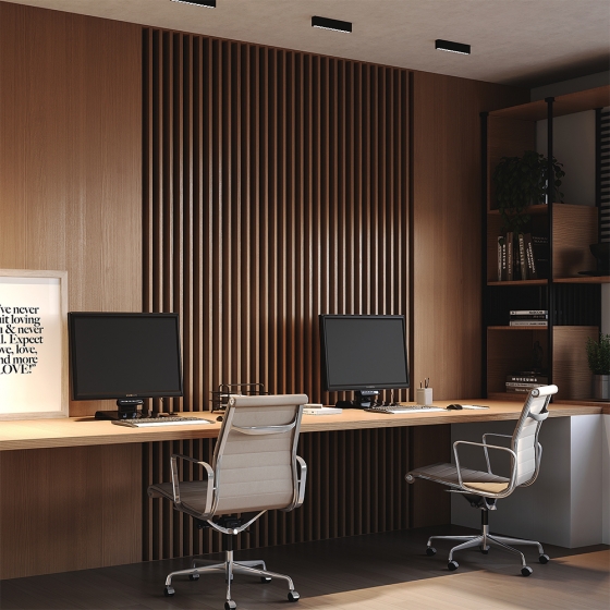 Потолочный светильник Points черный 255x25 мм 3