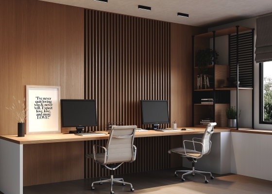 Потолочный светильник Points черный 255x25 мм 2