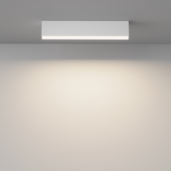 Потолочный светильник Basis белый 4