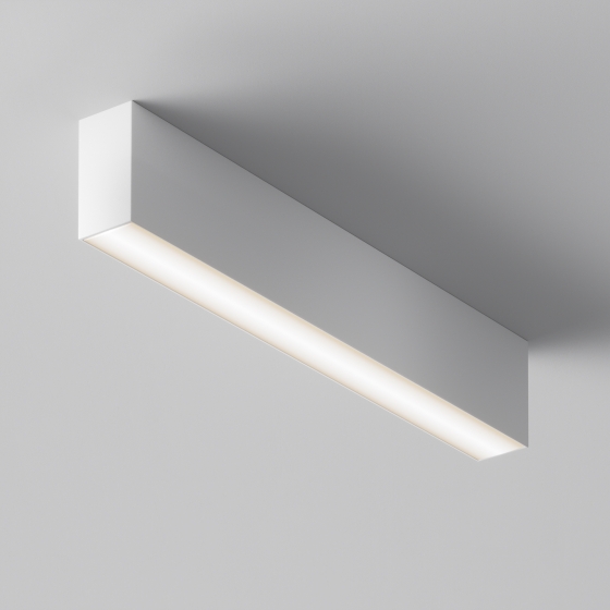 Потолочный светильник Basis белый 5