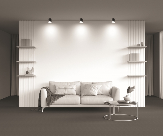 Потолочный светильник Hoop черный с золотом 4