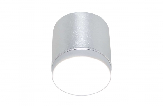 Потолочный светильник Polar серебряный 1