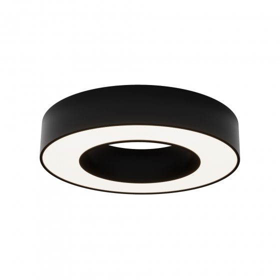 Потолочный светильник Lua черный 300 мм 1