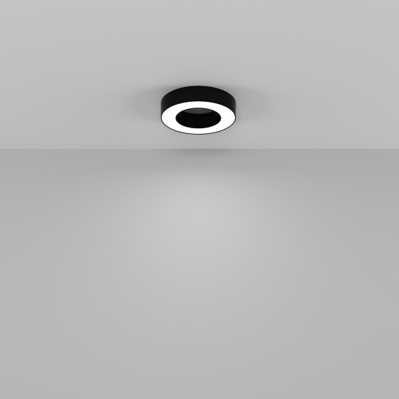 Потолочный светильник Lua черный 300 мм 5