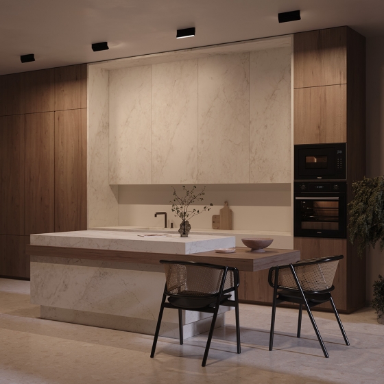 Потолочный светильник Basis Rot черный 5