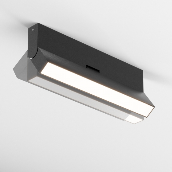 Потолочный светильник Basis Rot черный 13