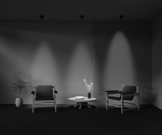 Потолочный светильник Lens черный 90 мм 11