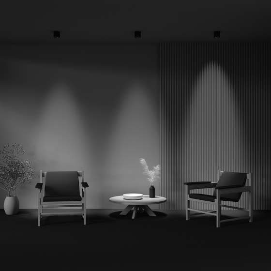 Потолочный светильник Lens черный 90 мм 5