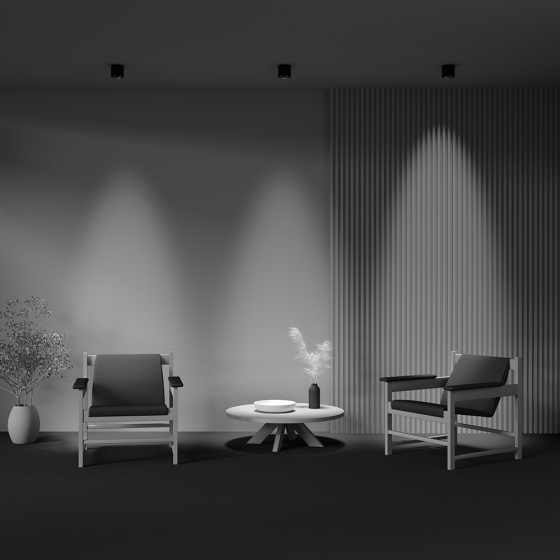 Потолочный светильник Lens черный круглый 9