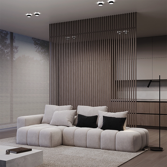 Встраиваемый светильник Amary черный круглый 2