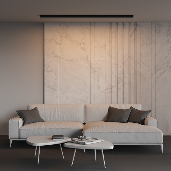 Линейный светильник Накладной Черный 200 см 5