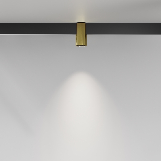 Трековый светильник Альфа черный с золотыми акцентами 10