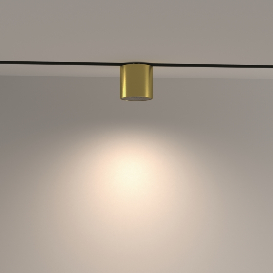 Трековый светильник Alfa S черный/золотой 5