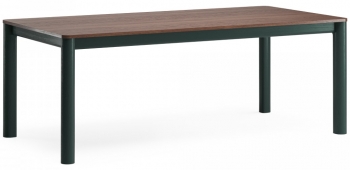 Обеденный стол Bergen 200X100X75 CM