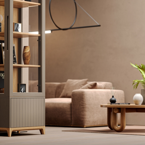 Узкая витрина Case 58X45X190 CM 4