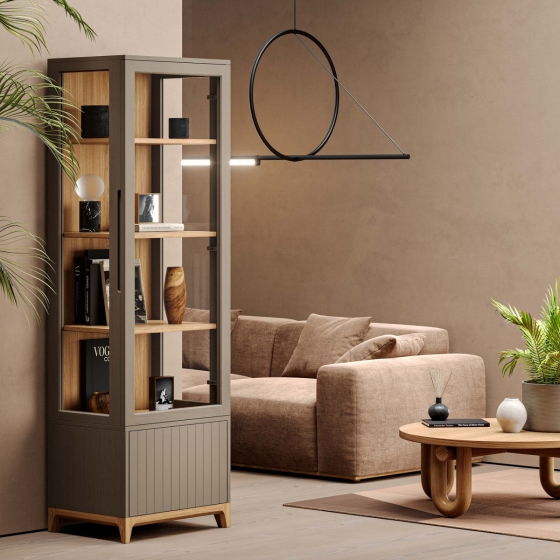 Узкая витрина Case 58X45X190 CM 3