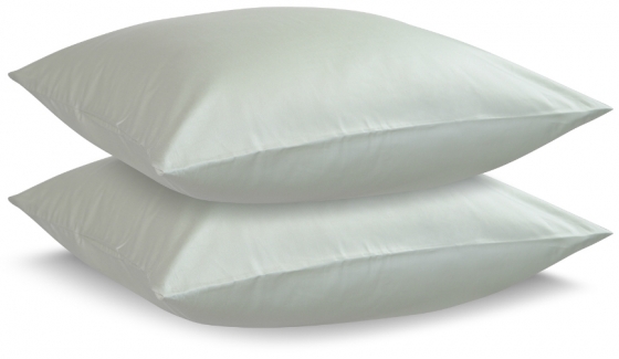 Набор из двух сатиновых наволочек Wild 70X70 CM мятного цвета 1