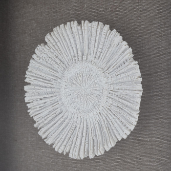 Ассамбляж Bloom 45X45 CM