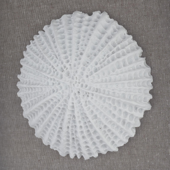 Ассамбляж Bloom 45X45 CM