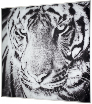 Постер Miraz 80X80 CM