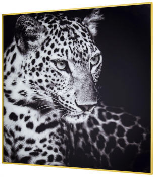 Постер Mau 80X80 CM