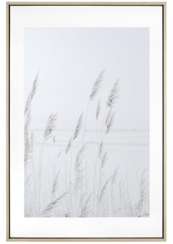 Постер Onic 60X90 CM
