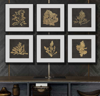 Набор из шести принтов Botanic 60X60 / 60X60 / 60X60 / 60X60 / 60X60 / 60X60 CM