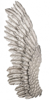 Панно в виде двух крыльев Wings 116X45 / 116X45 CM