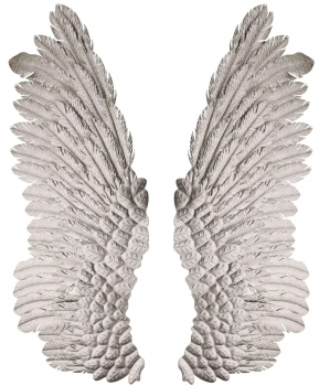 Панно в виде двух крыльев Wings 116X45 / 116X45 CM