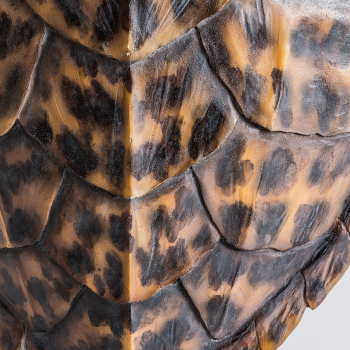 Декоративный элемент Tortuga 38X11X67 CM