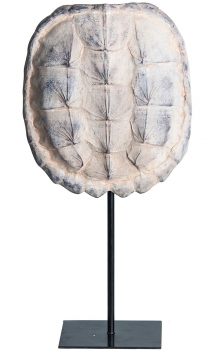 Декоративный элемент Tortuga 20X10X40 CM