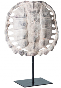 Декоративный элемент Tortuga 21X10X30 CM