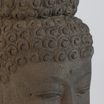 Бюст Budha 23X25X64 CM