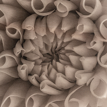 Холст Whill 250X258 CM