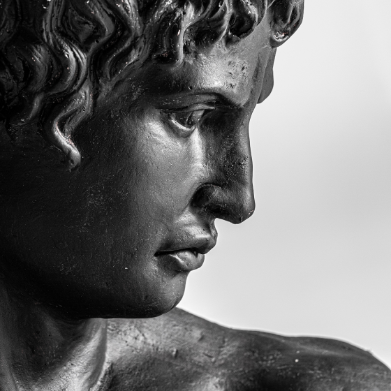 Бюст Hermes 48X26X58 CM 2