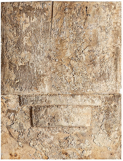 Декоративная панель Naga 40X50 CM 1