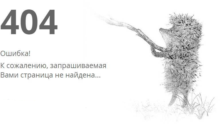404